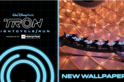 The New Wallpapers are Out! – Disney Experiences